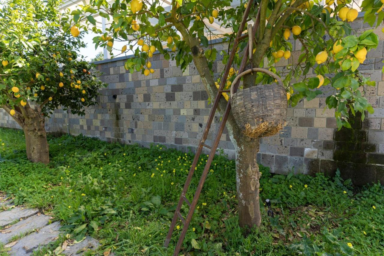 Tenuta Di Leva Piano di Sorrento Exteriör bild